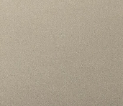 Champagne Gold Metallic