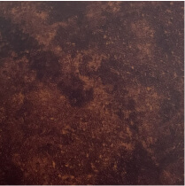 Red Fossil